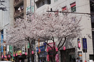 中野通り２.jpg