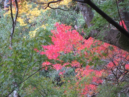 IMG_6808.JPG