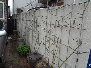 DSC03438.jpg