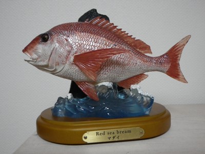 IMGP0916.JPG