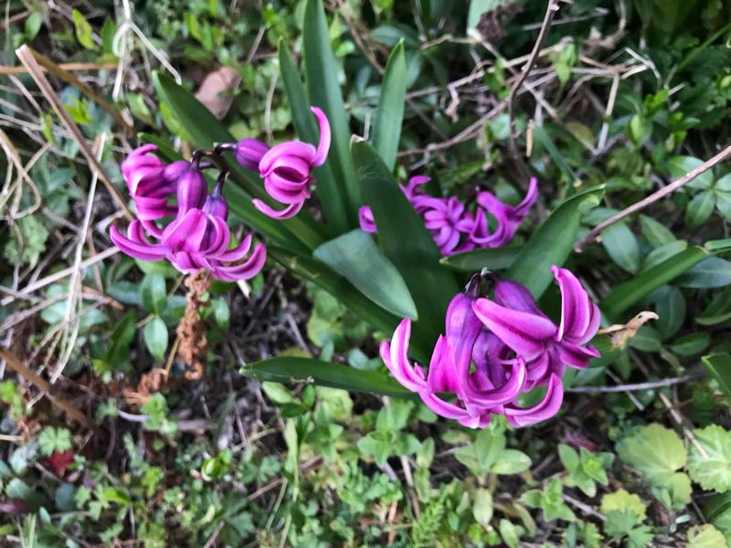 rblog-20190324174258-09.jpg