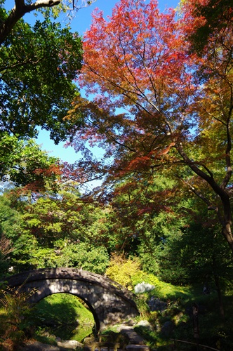 小石川後楽園