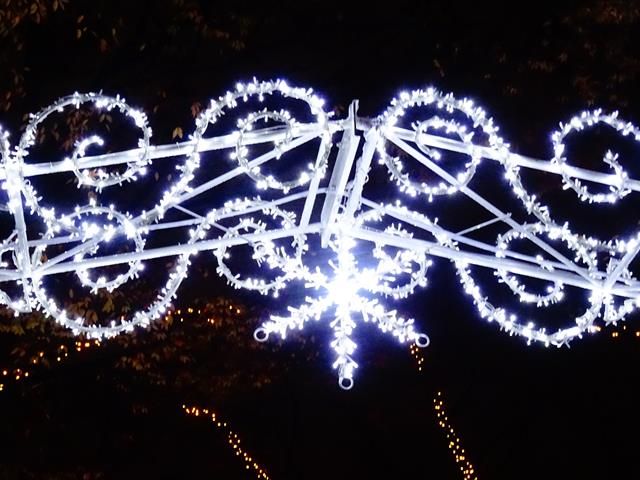 DSC08971_R.JPG