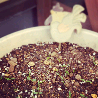 rblog-20130604231742-00.png