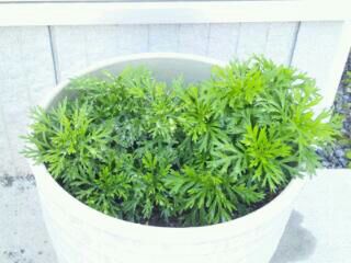 rblog-20140320093425-00.jpg