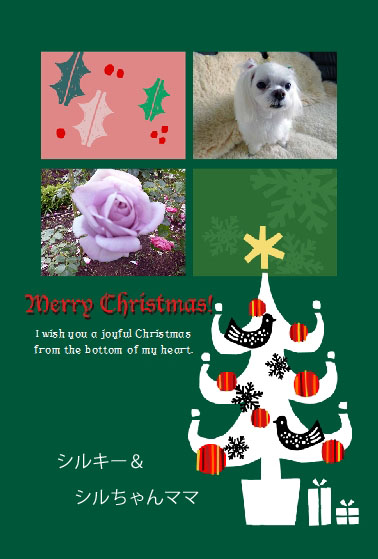 2012クリスマス_シルちゃんママさん