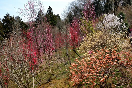 2016 03 31_2362.jpg