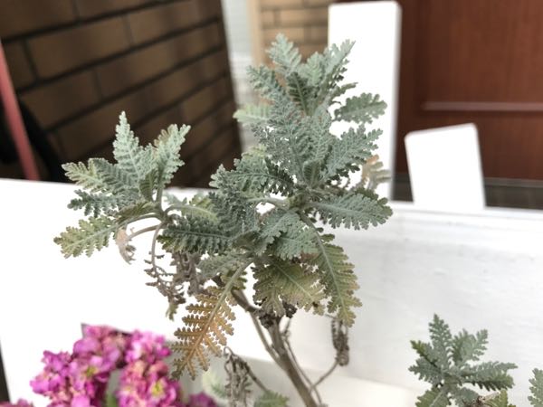 rblog-20170329182349-09.jpg