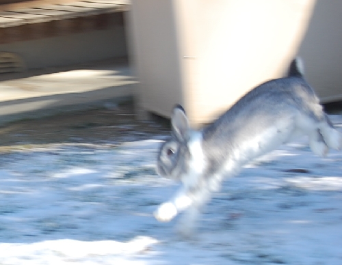 DSC_0132.JPG