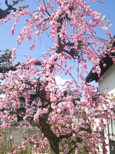 rblog-20160307102830-03.jpg