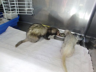 作業用画像その２ 316.jpg