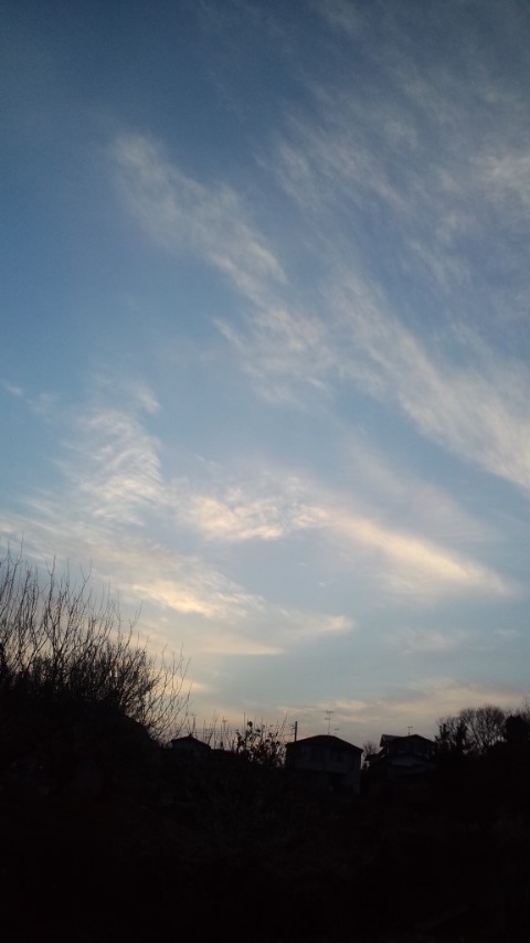 rw_120320_174723.jpg