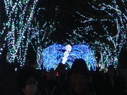 DSC02775_R.JPG
