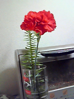 201205141002000.jpg