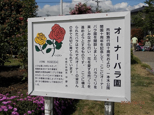 P6140008.jpg