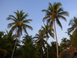 RIMG0224.jpg