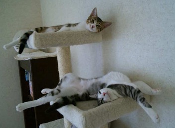 20120705_5.jpg