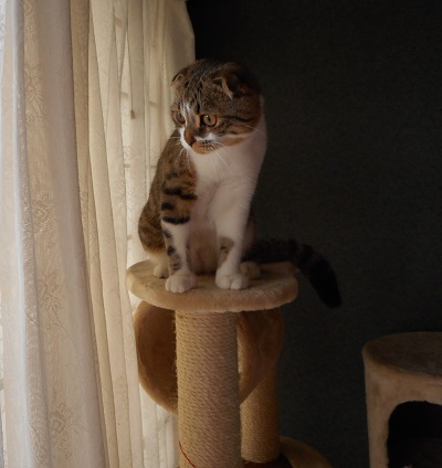 DSCN0090.JPG
