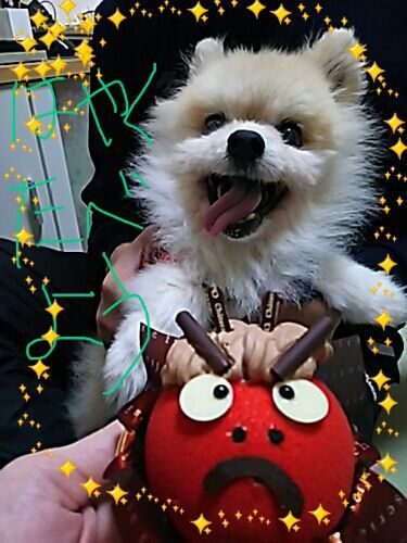 rblog-20180202211910-02.jpg