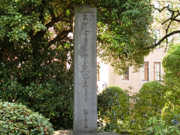k6.JPG