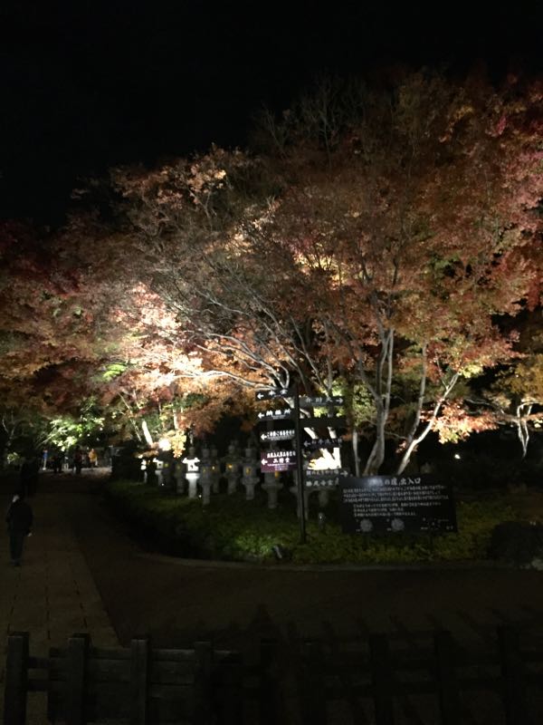 rblog-20161124103934-02.jpg