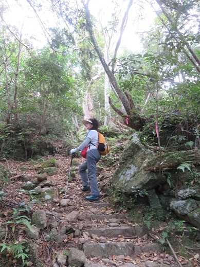 海抜0mへの登山？？・・・頂山からオハイブルーを見るために | KIKIの山行き・・・ 山と山の花 - 楽天ブログ