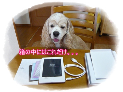 kobo箱の中身.JPG