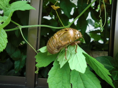 2012_0718画像0004.JPG