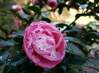rblog-20131230010653-01.png