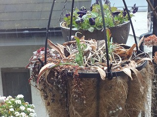 DSC00055.jpg