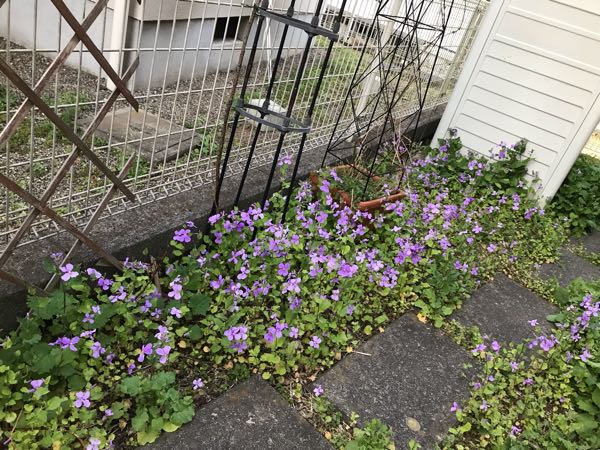 rblog-20190324174746-09.jpg