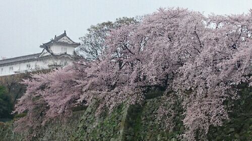 rblog-20150405210441-01.jpg