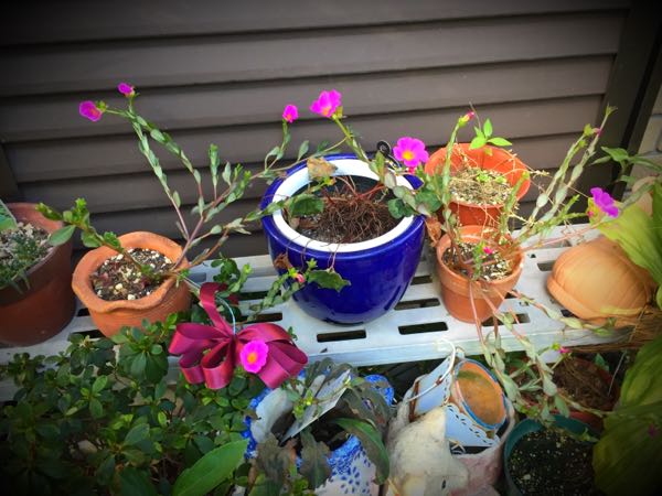 rblog-20160731173203-09.jpg