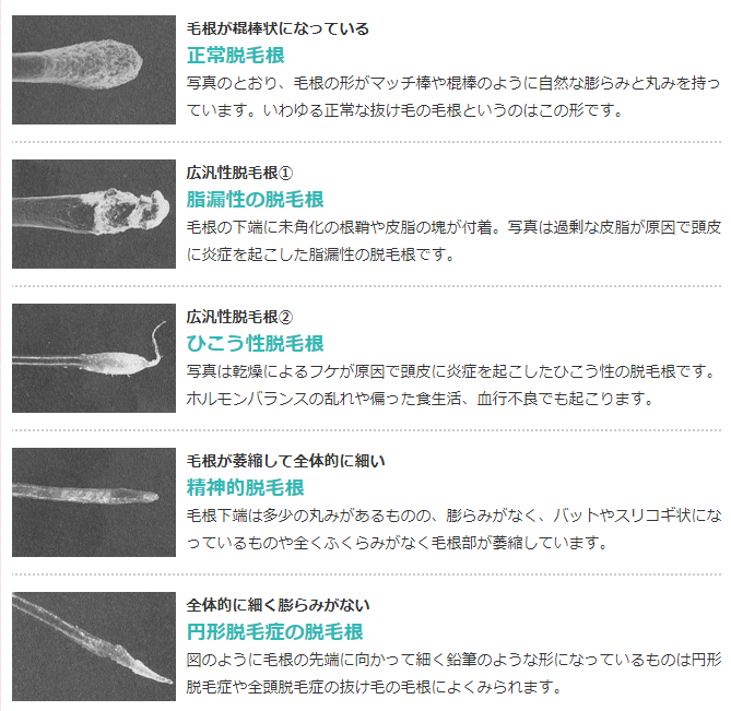 健康飲料 飲まなきゃだめですか 気ままなinti 楽天ブログ