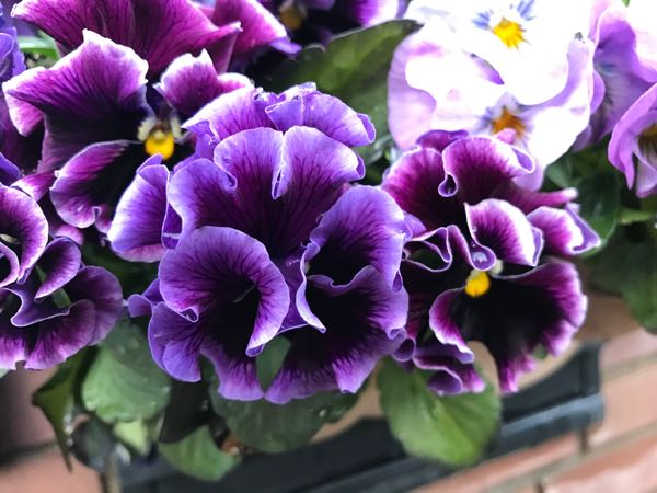 rblog-20170223222527-01.jpg