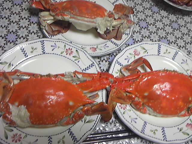 121006_194104.jpg