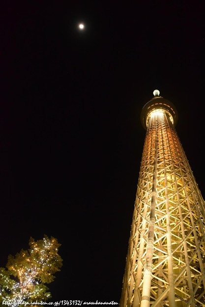 今回は一人旅 その15 ななつさんからの伝言 | 今日の予定 - 楽天ブログ