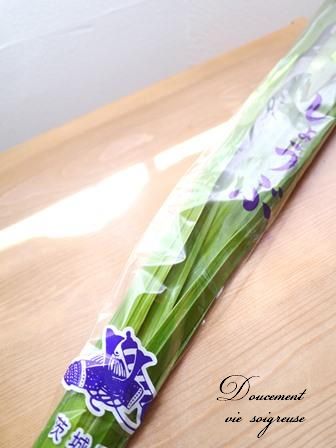 2016.5.5 しょうぶ.JPG