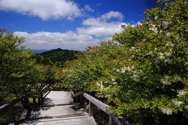 大台ケ原_003.jpg