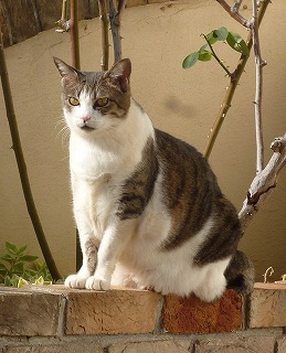 P1270079-ass.jpg