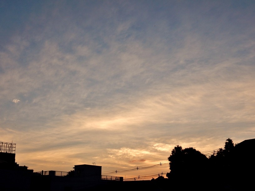 夕暮れ1.JPG