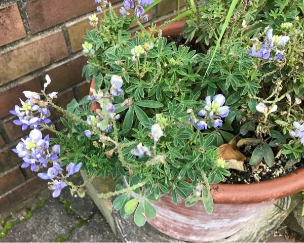 rblog-20180624181904-05.jpg