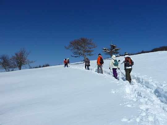 02 スノーシュー.jpg