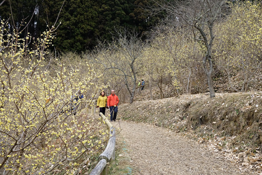 DSCF1839.jpg