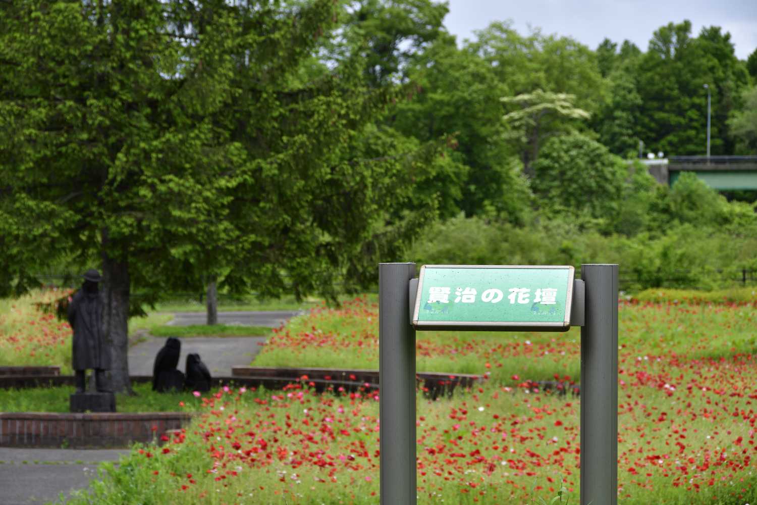 御所湖広域公園ファミリーランドのポピーが見頃を迎えていました ふう 出来るだけ書くぞ 楽天ブログ