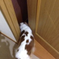 rblog-20141008165502-01.jpg