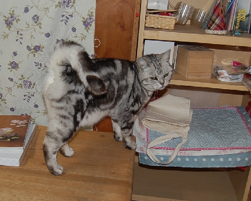 DSC_0119.JPG