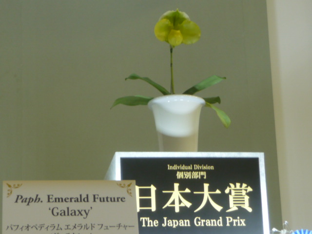 167 日本大賞