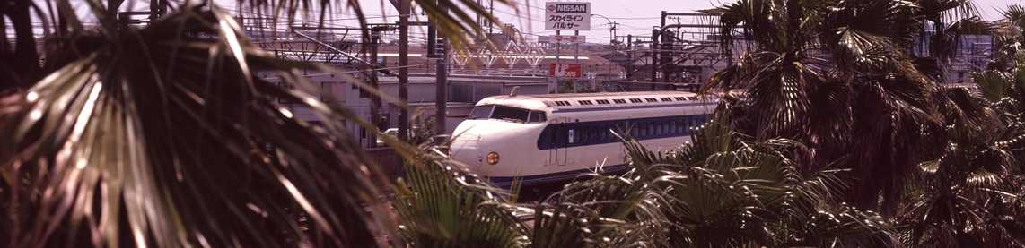 翌檜　「お暇便り」