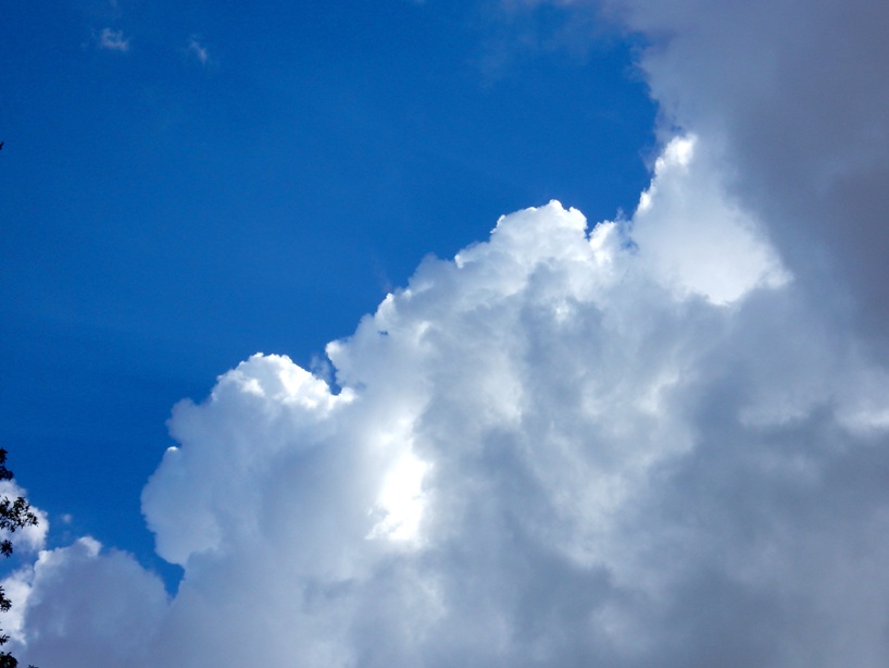 空5.JPG